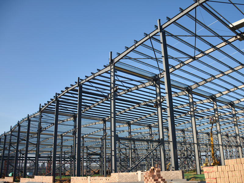 Canglong Array image45