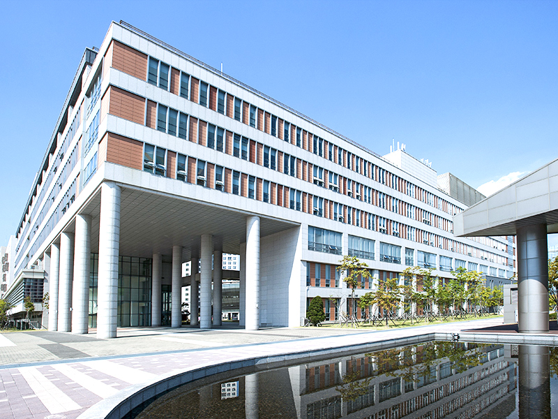 Canglong Array image30