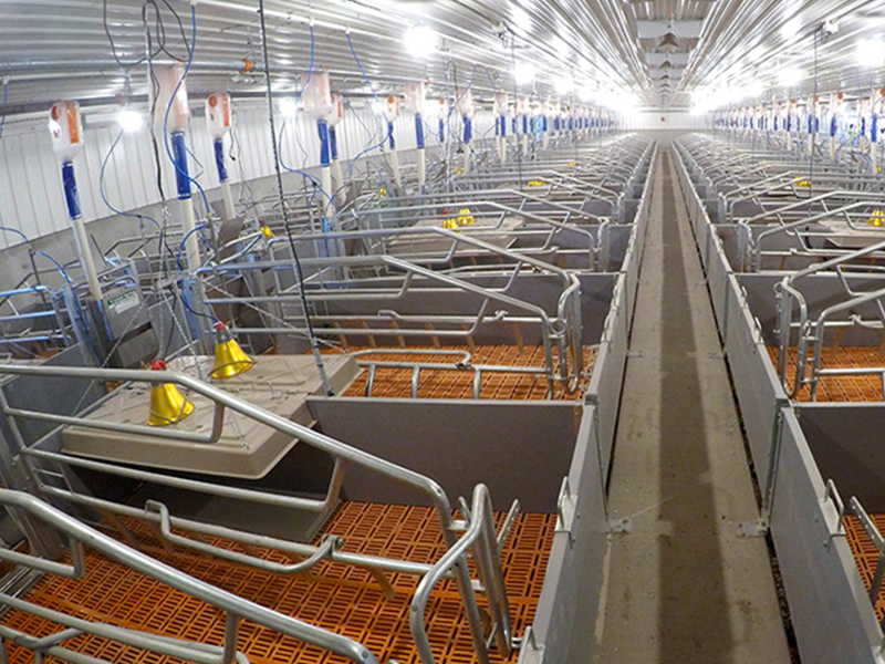 Canglong Array image22