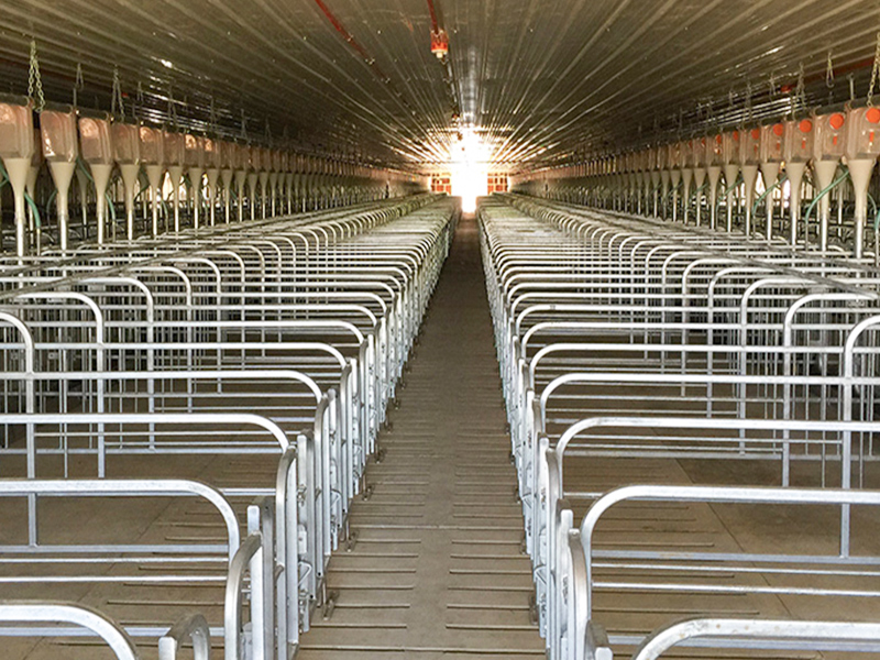 Canglong Array image84